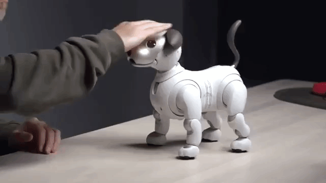 Умный робот-собака с искусственным интеллектом. Sony Aibo купить в Москве по приятной цене